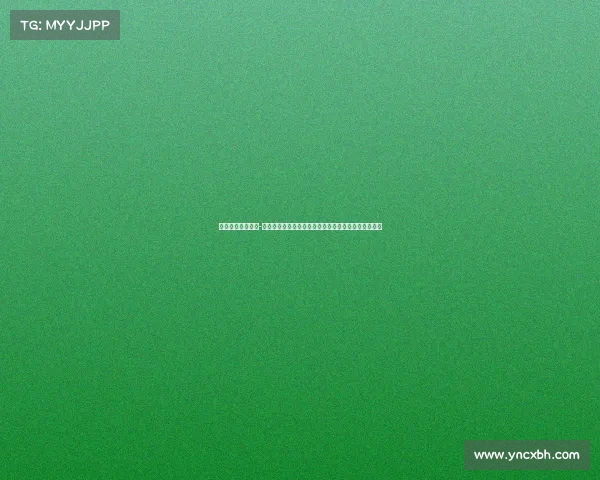 中国赛事组织公司-中国赛事组织公司引领全球体育盛事创新与发展新纪元