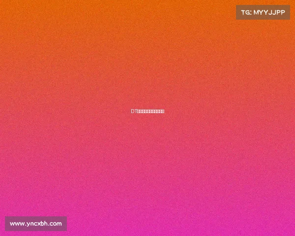 DT战队剑指巅峰，再创辉煌